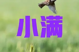 今日小满，如果这天出现下雨天气，好不好？有啥预兆？看农谚咋说图片