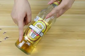 家有蚊子不要慌，只用一瓶啤酒，家中蚊子全跑光，比蚊香还要实用图片