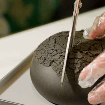 吃完榴莲可以喝花胶汤吗 2025年榴莲可以和花胶一起煲汤吗