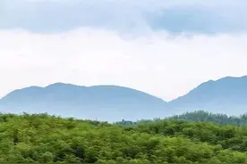 俗语：“娶妻不娶仰头女，嫁汉不嫁低头汉”，老农：此话大有道理图片