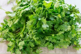 坚持吃香菜的人，会怎么样？为什么有人讨厌香菜，有人特爱吃？图片