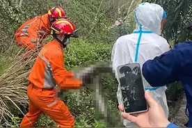 能吞人！深圳工业园惊现3.8米长，50斤重巨蟒，该不该放生？图片