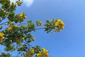 百分之70的女生接吻的时候喜欢闭眼睛，而男生喜欢睁眼睛，为什么图片