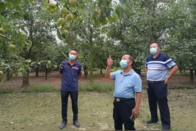 被央媒怒批“庄稼没法静默”后，宁陵县纪委监委进村探访图片