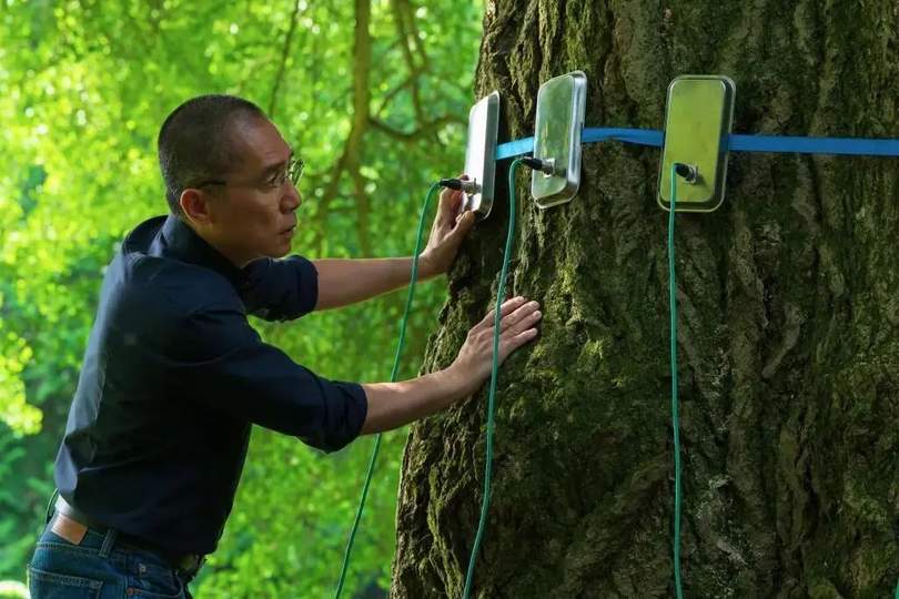 梁朝伟新片4天票房300万