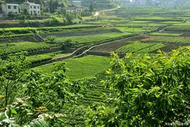 土地权属行政裁决及司法审查知多少图片