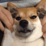 运筹学真的很难吗？