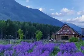 一篇就够！最全喀纳斯景区攻略请收好~图片