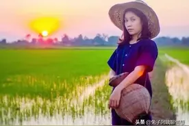 65岁教授求婚43岁保姆被拒：你乡下人竟拒绝我？保姆骂他不带脏字图片