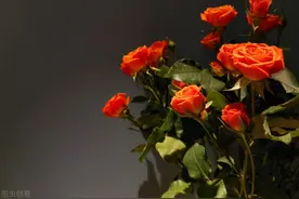 520这样发朋友圈图片