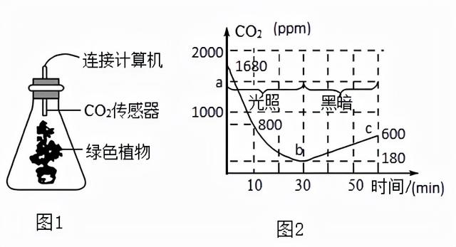 河南名校！省实验中学2021-2022学年高三上学期期中生物试题答案