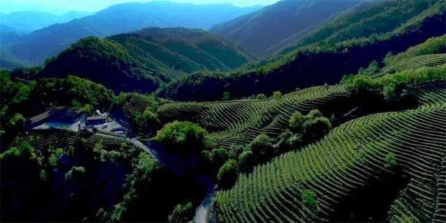 四川省民生研究会新媒体中心-官网