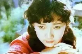 《童年》歌词里的诸葛四郎和魔鬼党是什么东西？图片