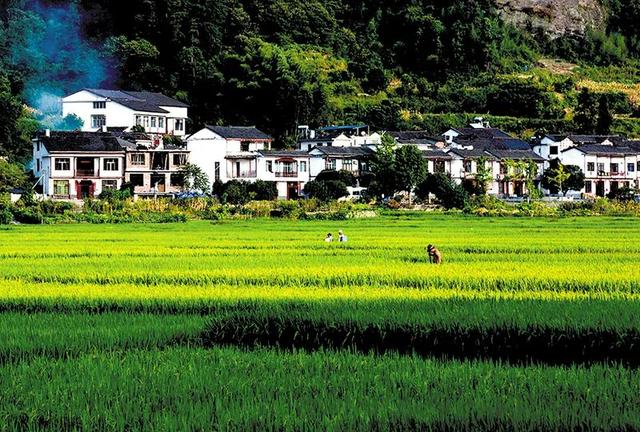 崀山:丹霞之魂,浪漫田园 | 摄影训练营图赏