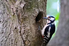 漫画，是一种艺术形式，看看腾飞孩子们眼中的艺术图片