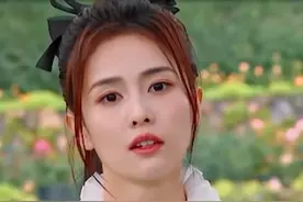 白鹿：一句冰箱里有碗遭群嘲，说父亲职业被无视，内娱在高贵什么图片