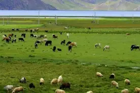 在那遥远的地方 6.1图片