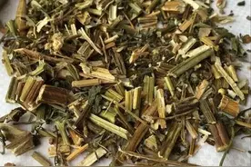 鬼针草的成分和主要用途图片