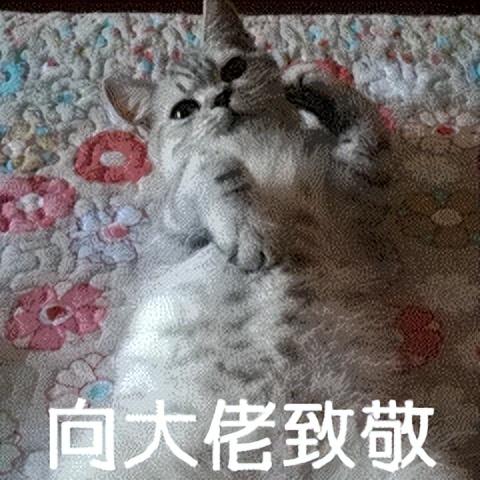 没有结局的《黄金矿工》，被B站网友玩出花