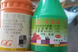 苄氨·赤霉酸在苹果花期应用图片