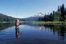 钓鱼探鱼器到底有没有用？图片