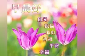 周三早上好祝福语，问候朋友，真情永存，祝愿朋友永远开心快乐图片