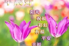 周三早上好祝福语，问候朋友，真情永存，祝愿朋友永远开心快乐图片