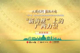 大道同行 丝路共鸣｜跨越山海向未来——新加坡与广西携手共建国际陆海贸易新通道图片