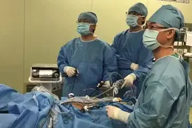 结直肠术后该咋吃？专家传授科学补养“宝典”图片