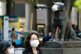日本涉谷车站前的忠犬八公雕像的由来图片