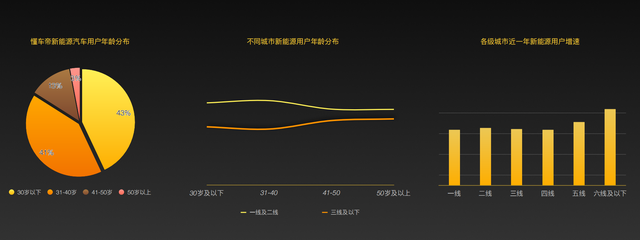 2022年下沉市场新能源汽车用户消费行为洞察报告