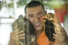 别人不要的乌龟，深圳男子花530万买下，2016年靠乌龟年入6000万图片