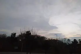冬天里的童话故事，我与流浪猫小三花，生命的相互陪伴图片