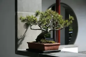十句话，看清别人，明白自己！图片