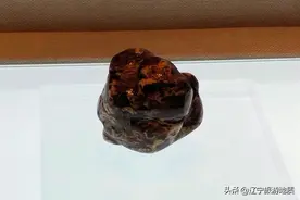 抚顺这个坑中产出一种宝贝，曾被工人拿回家生炉子，如今价比黄金图片