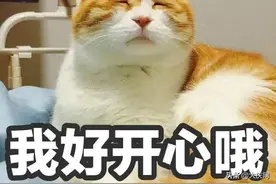 让胡路一男子午夜逛陌陌，“美女”主动裸聊图片