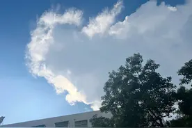 待我了无牵挂图片