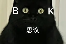 表情包|有本事你过来打我图片