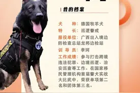 国家首批“功勋犬” 广西“追风”赫然在列图片