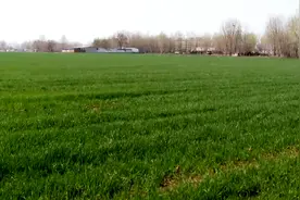 种粮补助！鹿泉区发放一次性补贴156万元图片