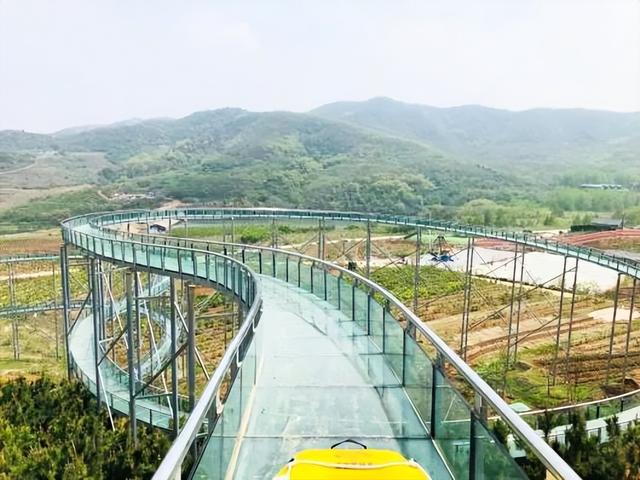 “龙”游诸城，诸事皆成