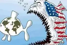 泽连斯基在政治上的幼稚，将乌克兰推向灾难的深渊图片