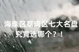 广州海珠区荔湾区究竟买哪个盘好？图片