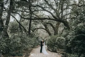 林书豪微博发文：两年前已结婚图片