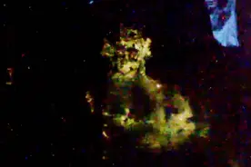 国际空间站惊现“巨大绿色外星人”？UFO专家：看起来更像猴子图片