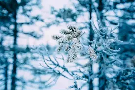 《宋词三百首》中的四季，唯美了时光，惊艳了岁月图片