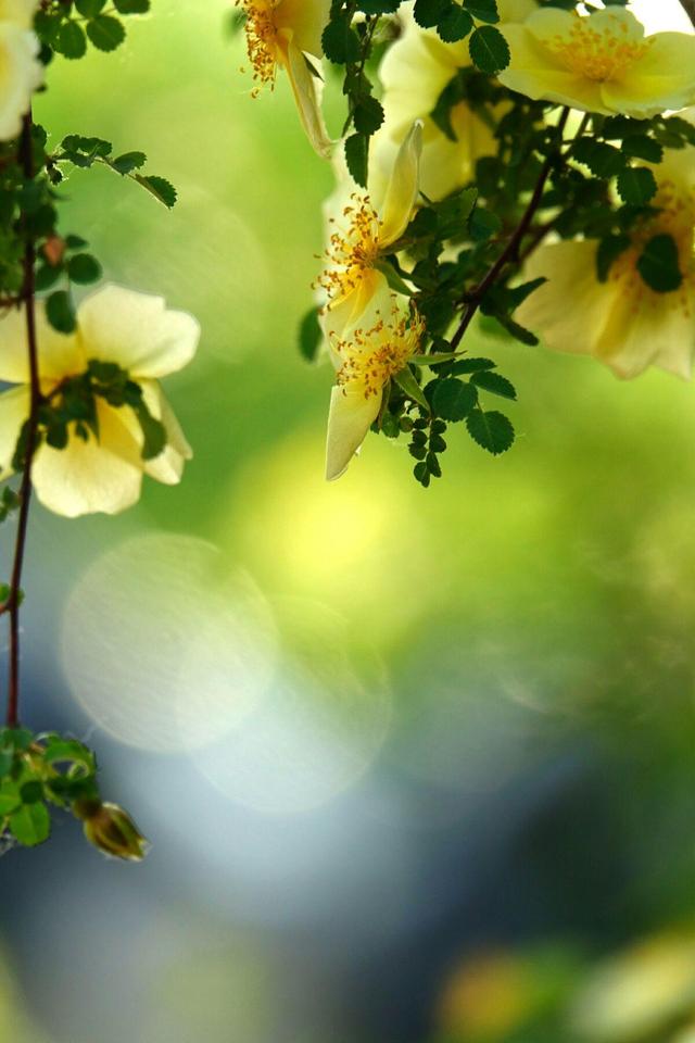 尘世沧桑,世态炎凉,愿你做人厚道,处世豁达