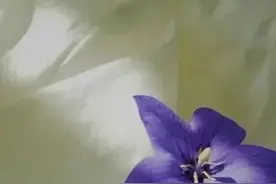 男朋友带我看片，我该分手吗？图片