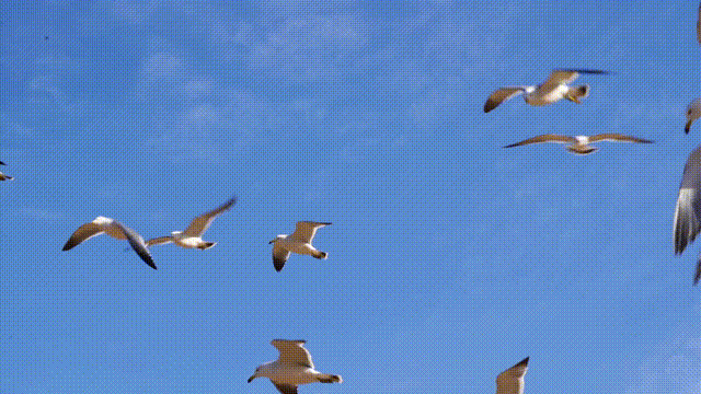 十二月好去处丨雪雪雪！烟台即将美成仙境