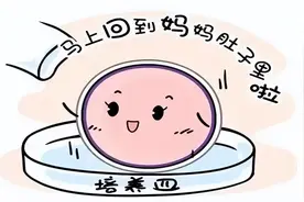 关于试管婴儿 你想知道的都在这里图片
